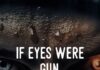 If eyes were gun