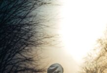 Mmeso Inspires: Build it Build