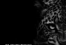 Mmeso Inspires: The Crazy Life