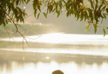 Mmeso Inspires: Love and Spark Love